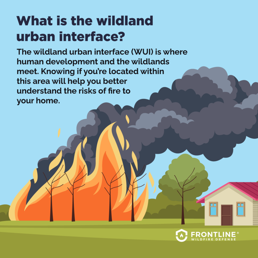What is a wildland urban interface?