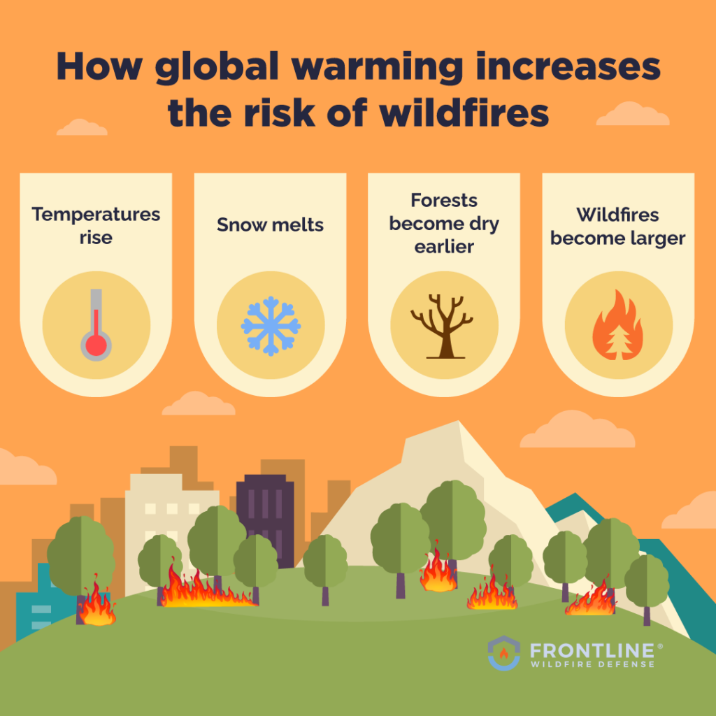 Can wildfires cause global warming?