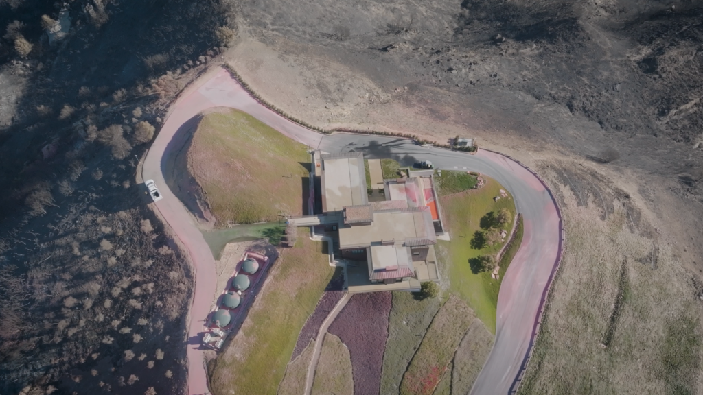 Roof sprinklers created a green oasis that helped save this home from wildfire.